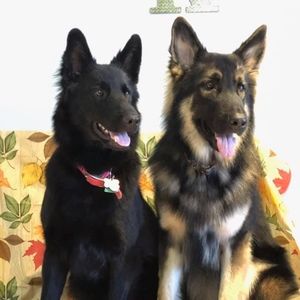 Meet your Posher, Cathy